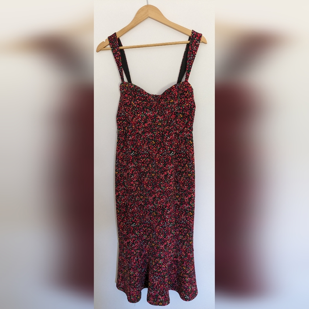 Anthropologie Red and Black Floral Dress